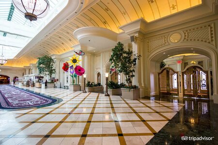 lobby--v11502354.jpg