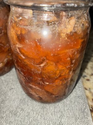 IMG_8283.jpeg
