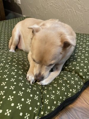 IMG_4297.jpeg