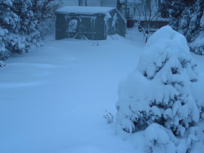 DSCN0002.JPG