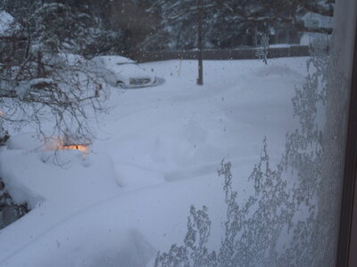 DSCN0003.JPG