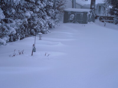 DSCN0005.JPG