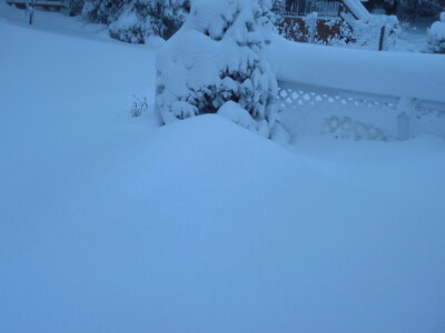 DSCN0006.JPG