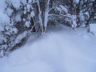 DSCN0007.JPG