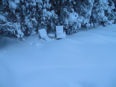 DSCN0008.JPG