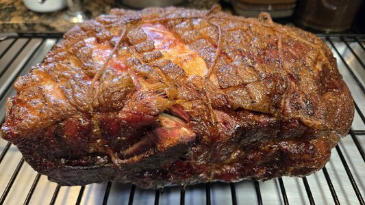 Mar 13 26 Butt.jpg