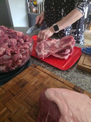 20260329_102442.jpg