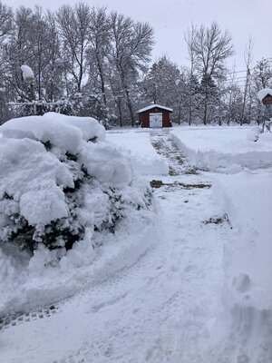 IMG_1820.jpeg