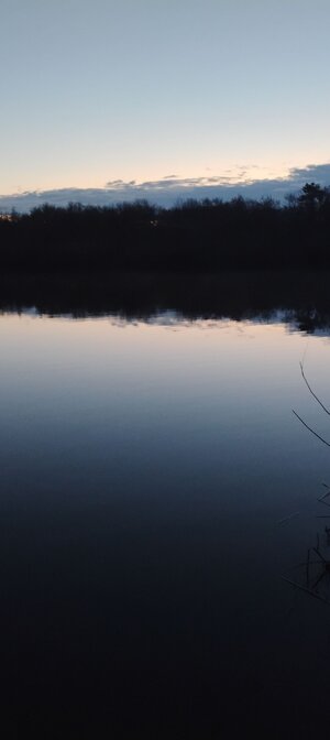 IMG_20260411_054645.jpg