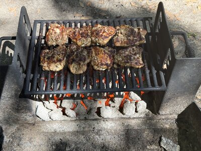 IMG_8813.jpeg