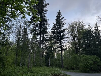 IMG_4763.jpeg