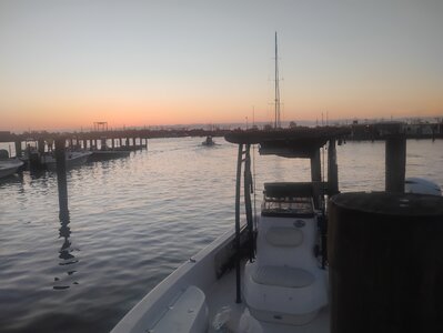 IMG_20260513_060322868.jpg