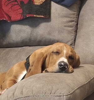 wally sleep.jpg