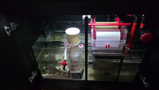 2026_reef_tank_0013.jpg
