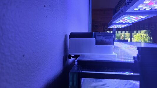 2026_reef_tank_0005.jpg