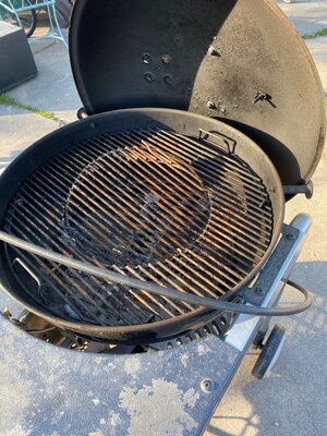 IMG_5342.jpeg