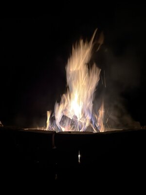 IMG_3815.jpeg