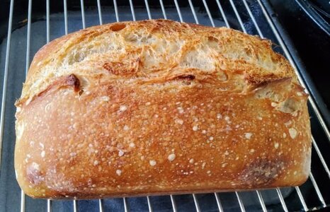 sourdough.jpg