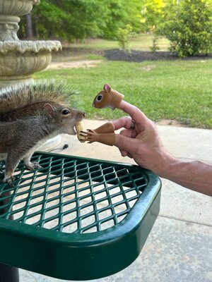 IMG_2463.JPEG