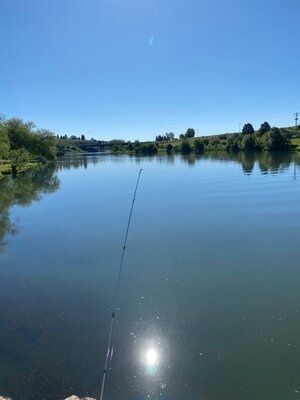 IMG_5614.jpeg