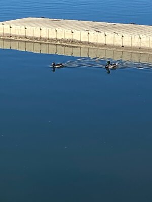 IMG_5619.jpeg