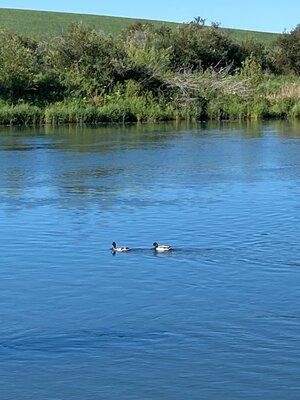 IMG_5647.jpeg
