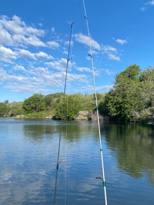IMG_5700.jpeg