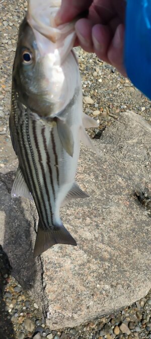 IMG_20260615_104502.jpg