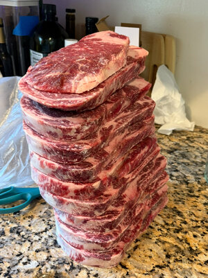 IMG_7931.jpeg