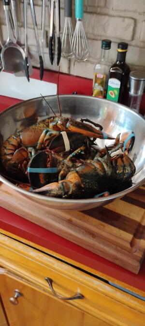 IMG_20260629_080228.jpg