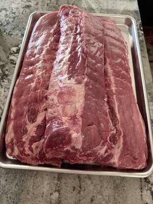 IMG_2158.jpeg
