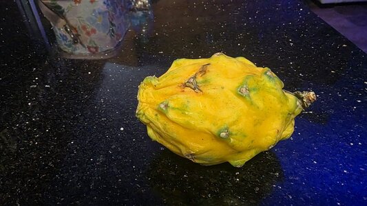 yellow_dragon_fruit.jpg
