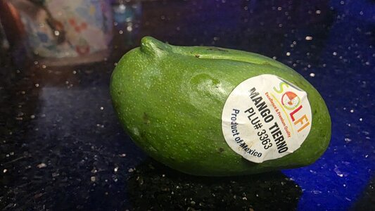 baby_mango.jpg