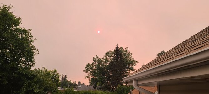 20260713_193445.jpg
