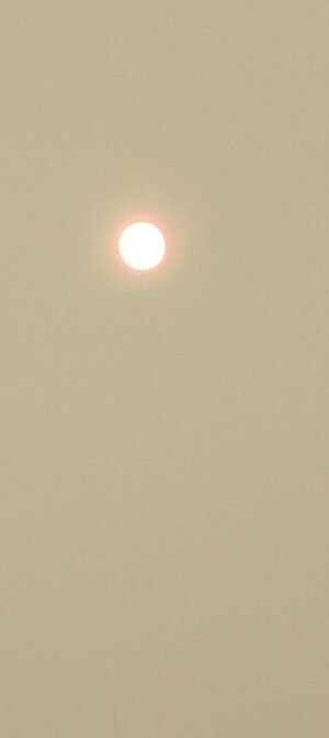 IMG_20260715_142209.jpg