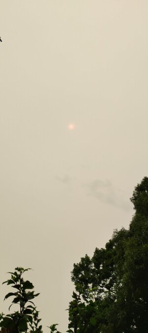 IMG_20260715_144822.jpg