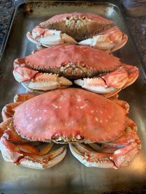 Crab Fresh from the Pot.jpeg