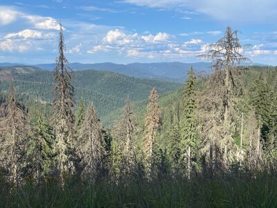 IMG_8489.JPG
