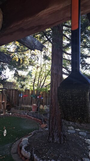 20260724_185457.jpg