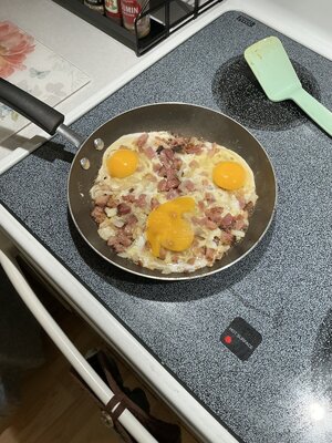 IMG_1234.jpeg