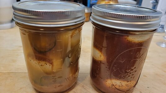 20251013_194614_resized_2.jpg
