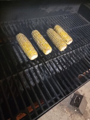 IMG_20260808_205128.jpg