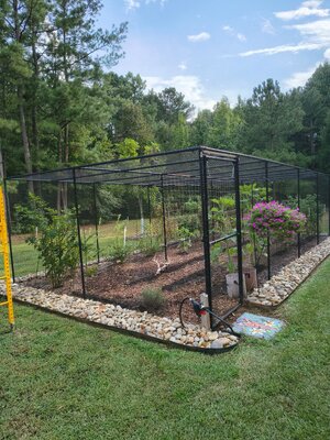 IMG_20260815_175408010_HDR.jpg