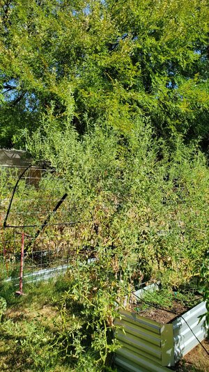 20260816_171545.jpg