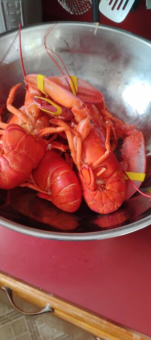 IMG_20260823_135420.jpg