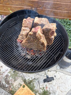 IMG_0359.jpeg