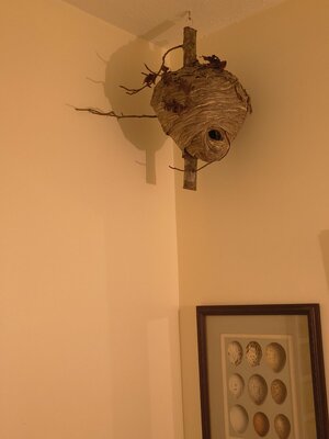 IMG_20260826_210551016.jpg
