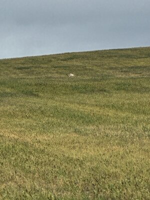 IMG_9147.jpeg