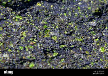 lava rock with oviline crystals.jpg