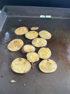 IMG_2040.jpeg